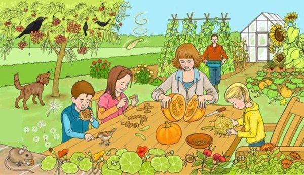 Сюжетная картина сбор урожая