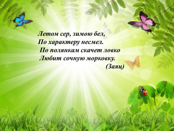 Мир насекомых для детей