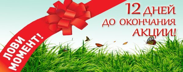 До окончания акции