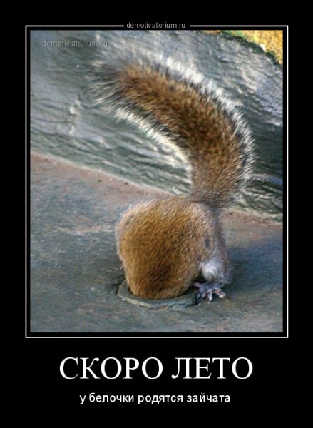 Шутки про белок