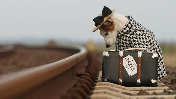 Креативные путешествия