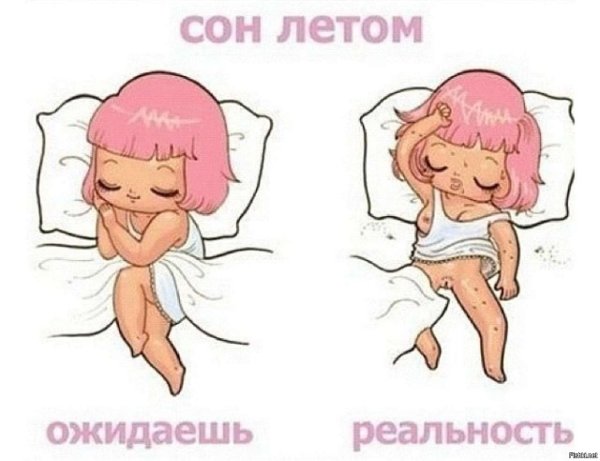 Как спит девушка ожидание реальность