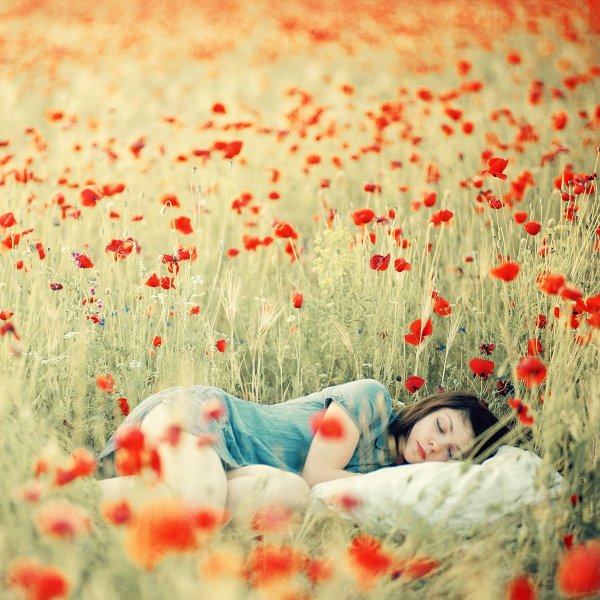 Открытки волшебной ночи