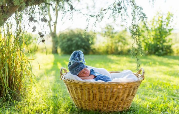 Артем Артяков картины