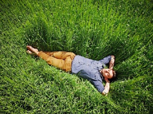 Художник Мария Павлова "Проснись и пой!"