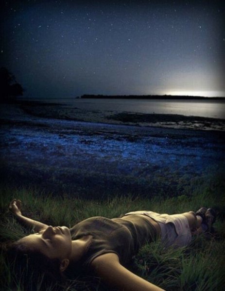 Аниме девушка на траве