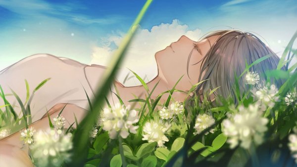 Сладких снов природа