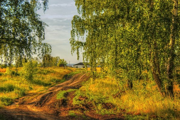 Летний пейзаж