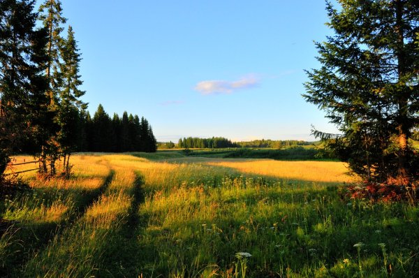Курганская область пейзажи природы Курганская область