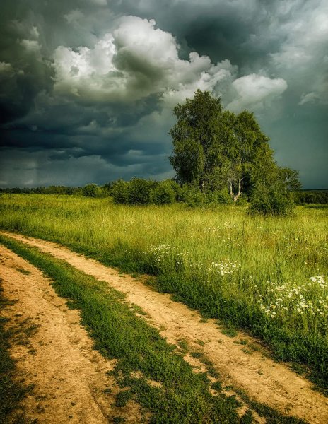 Замартынье Липецкая