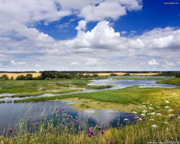 Рассвет над рекой
