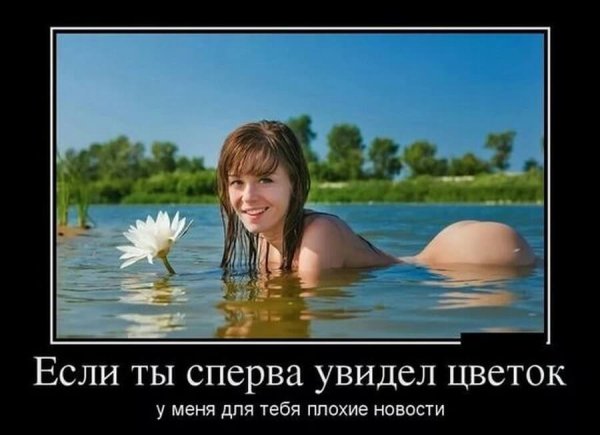 Лучшие демотиваторы смешные