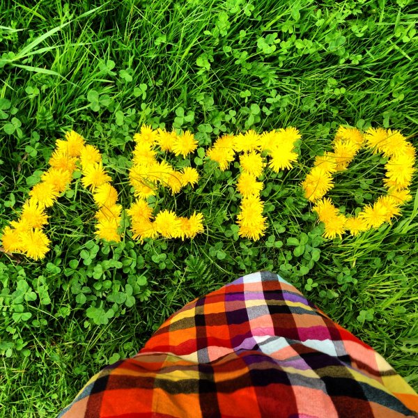 Яркая природа