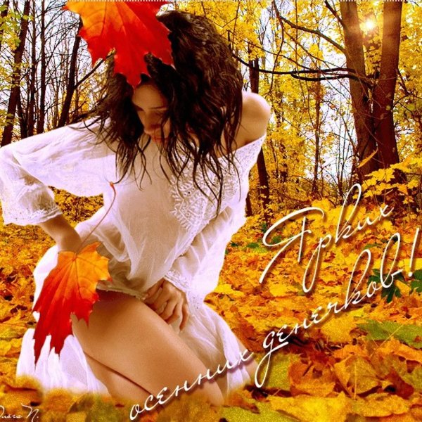 Смешные афоризмы про бабье лето