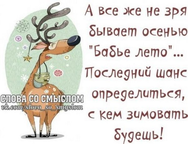 Бабье лето шутки приколы