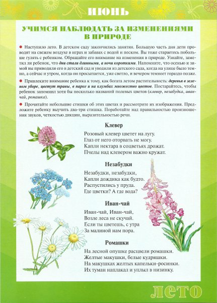 Папка раскладушка лето