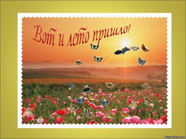 Солнечный летний день