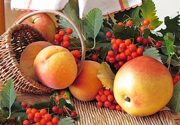 Осень дары природы