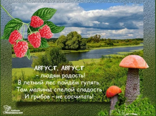 Доброе летнее утро пожелания