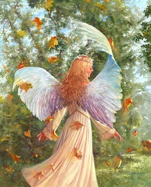 Ангелы Edward Tadiello