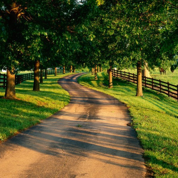 Луг с дорогой