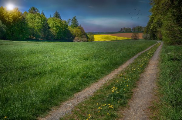 Полевая дорога и Проселочная дорога