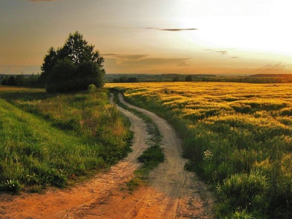 Остроуховские Луга