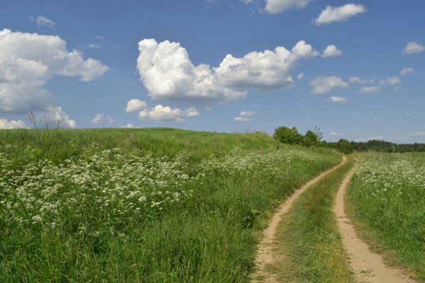 Тропинка в лесу