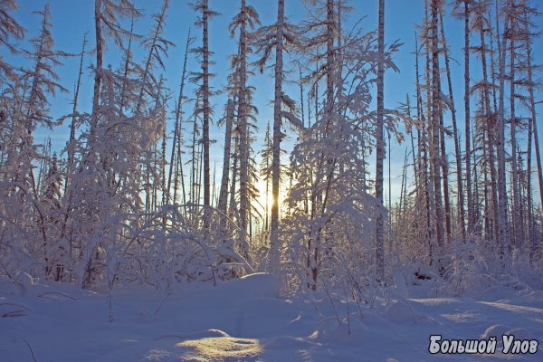 Эвенкия Тайга