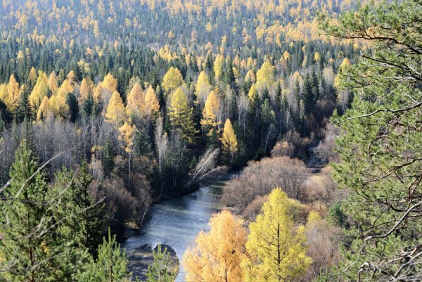 Тайга города России