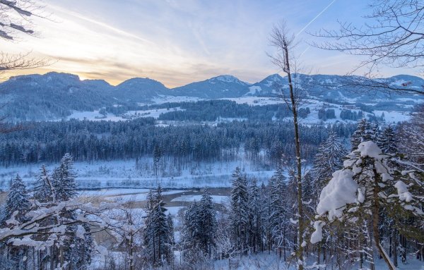 Уссурийская Тайга зимой