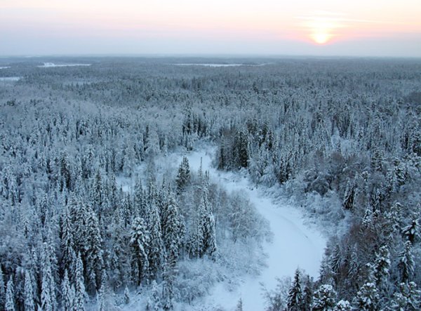 Восточносибирская Тайга климат