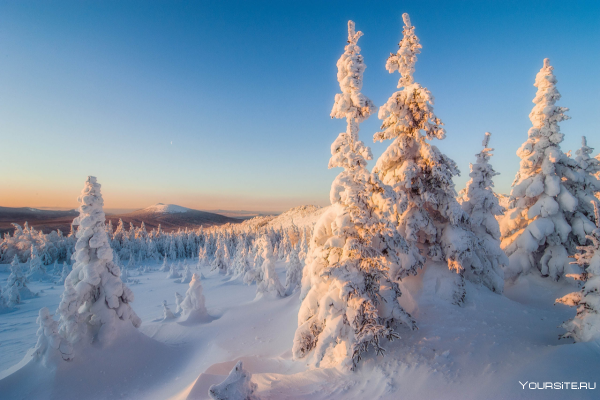 Зимняя Тайга в Сибири