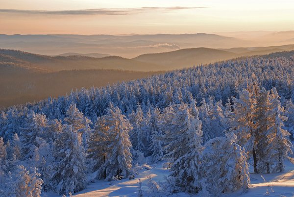 Забайкалье лес зима