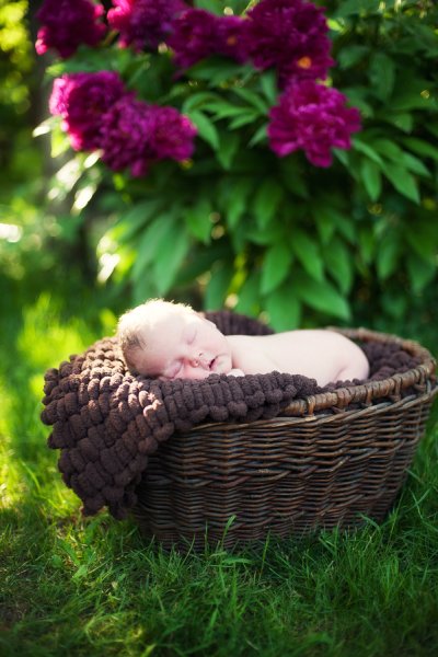 Мужчина в гамаке