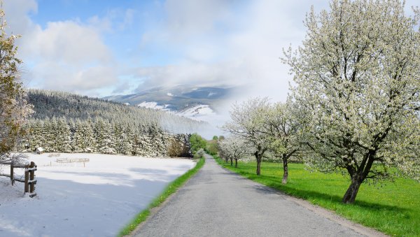 Дорога зима лето