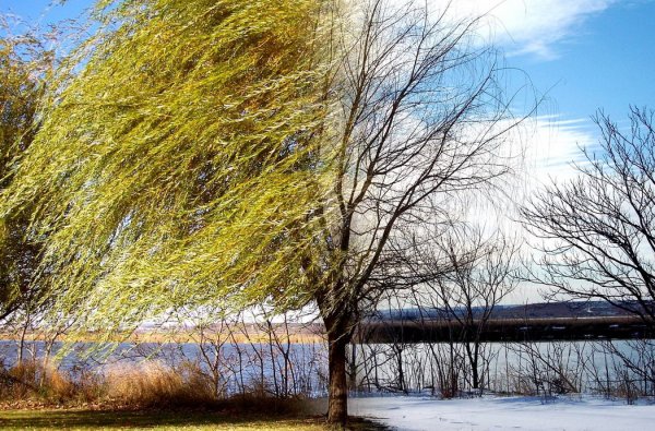 Пейзаж по временам года