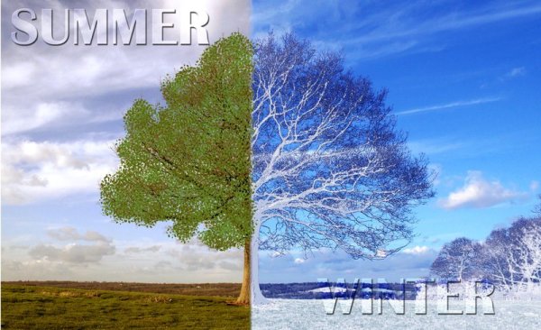 Море летом и зимой