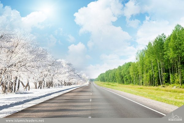 Фон четыре времени года