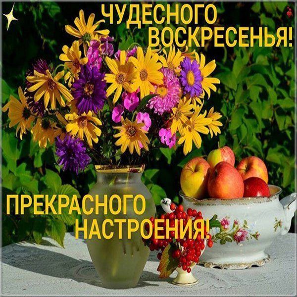 Отличного воскресного дня лето