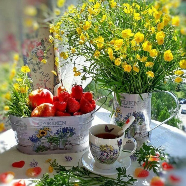 Прекрасного дня ромашки