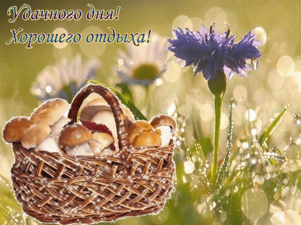Самого хорошего летнего дня и настроения