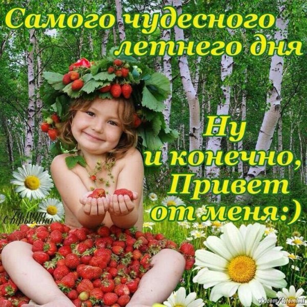 Поздравление с летним утром и днем