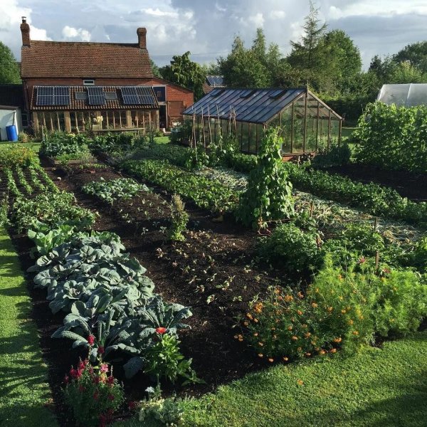 Пермакультура на 4 сотках