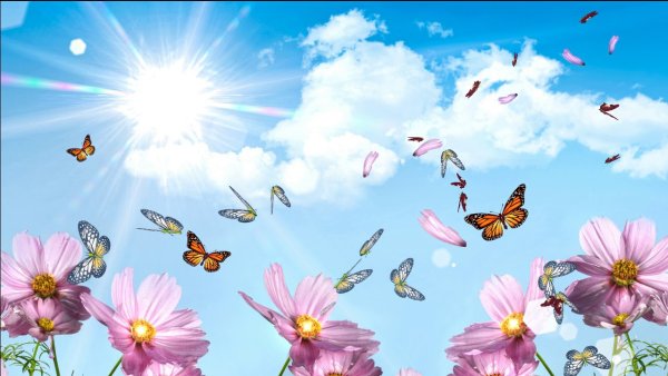 Футажи лето