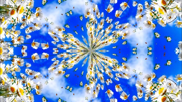 Футаж для текста лето