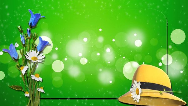 Фон ромашки