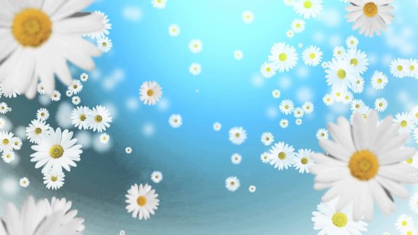 Фон солнышко