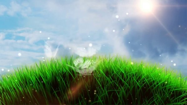 Футажи для видеомонтажа