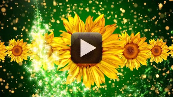 Красивый фон для детского сада